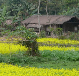 Missing Tribes house - Divi Journeys Missing Tribes house - Divi Journeys